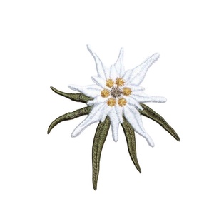 broderierocrist