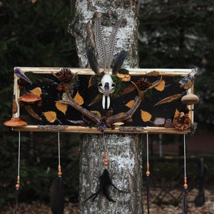 ForestPortal
